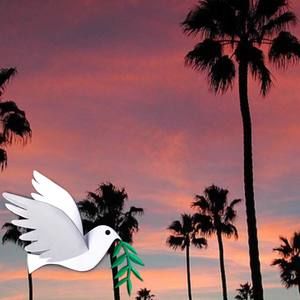 Meet your Posher, Delvin